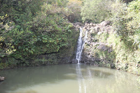 DSC_0904.JPG