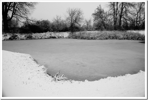 DSC_0788 copy