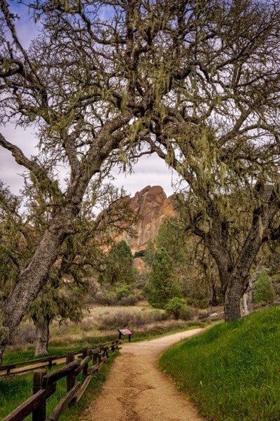 [20150313-DSC00335%255B4%255D.jpg]