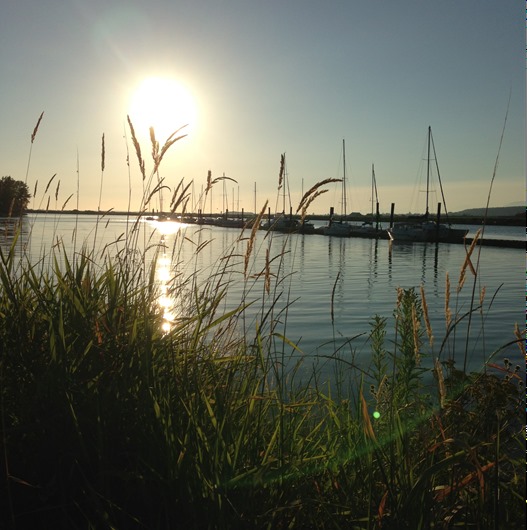 [IMG_0237%255B6%255D.jpg]