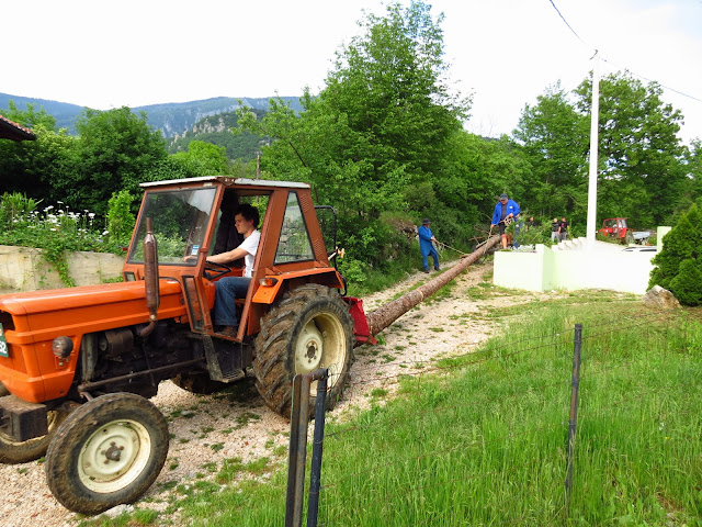 2014-Mlaj-in-kresovanje-16.JPG
