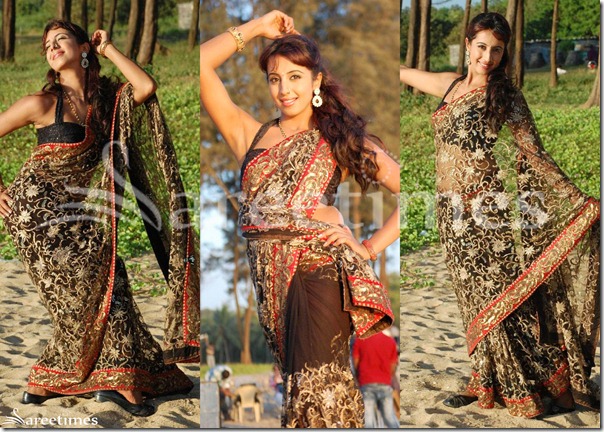 Sanjana_Embroidery_Saree