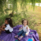 DSC08717.JPG