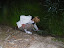 IMGP0580 (Copy).JPG