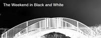 monochrome