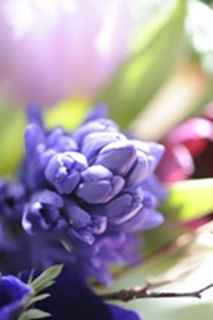 20120223_101044