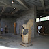 IMG_5678.JPG