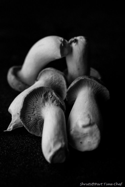 Mushrooms for BW Wednesday Apr 9 2013