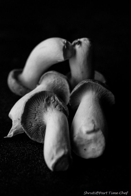 Mushrooms for BW Wednesday Apr 9 2013 Mushrooms for BW Wednesday Apr 9 2013