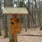 singold-bote_waldlehrpfad-schwabegg_034.jpg