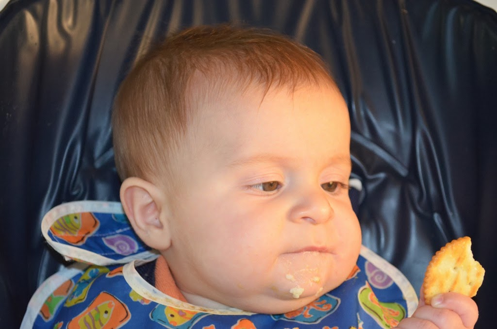 [DSC_5326%255B3%255D.jpg]