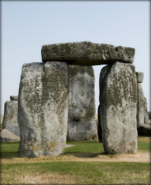 5 5