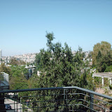 למכירה דירה ברחביה - ירושלים