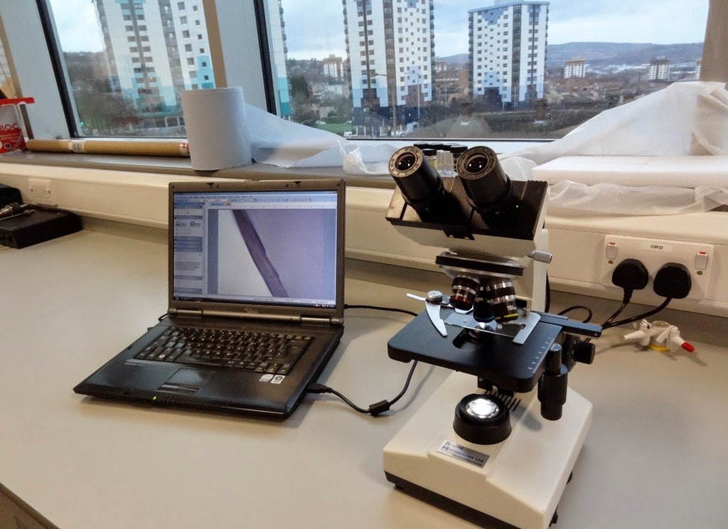 [DSC00826-1300x9454.jpg]