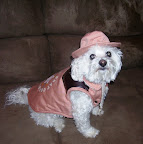 Camillia takes great care to meet her furry kids' needs. Camillia takes great care to meet her furry kids' needs.