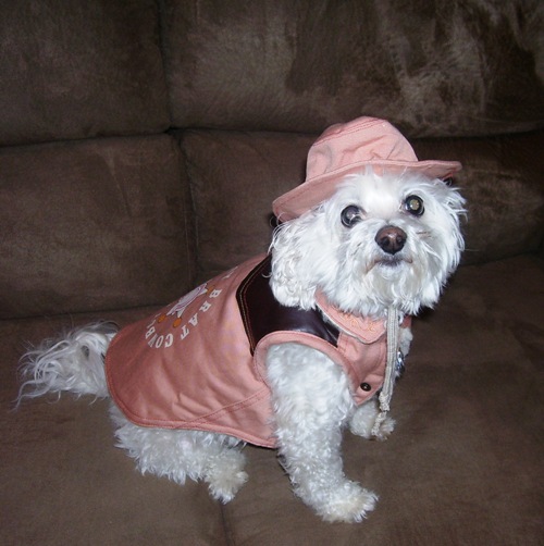 Camillia takes great care to meet her furry kids' needs. Camillia takes great care to meet her furry kids' needs.