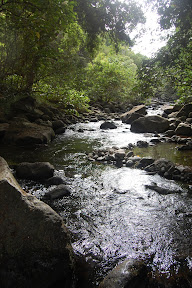 DSC_0493.jpg