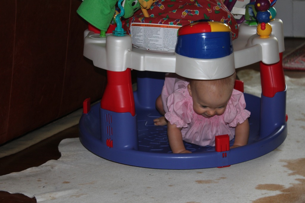 [IMG_4736%255B4%255D.jpg]