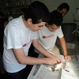 DSC06403.JPG