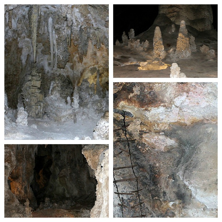 [PicMonkey%2520Collage-2%255B2%255D.jpg]