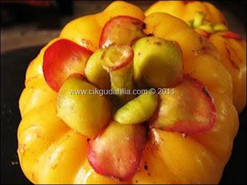 buah apa