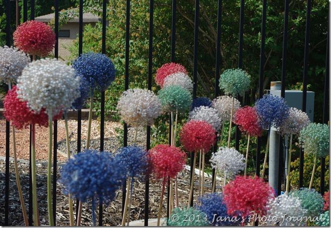 Alliums in front of Central Utah Gardens Alliums in front of Central Utah Gardens
