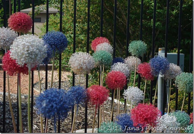 Alliums in front of Central Utah Gardens