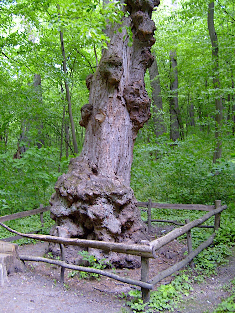 S7000014.JPG