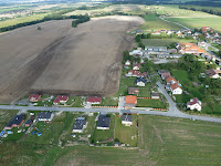 Vrabce_011.JPG