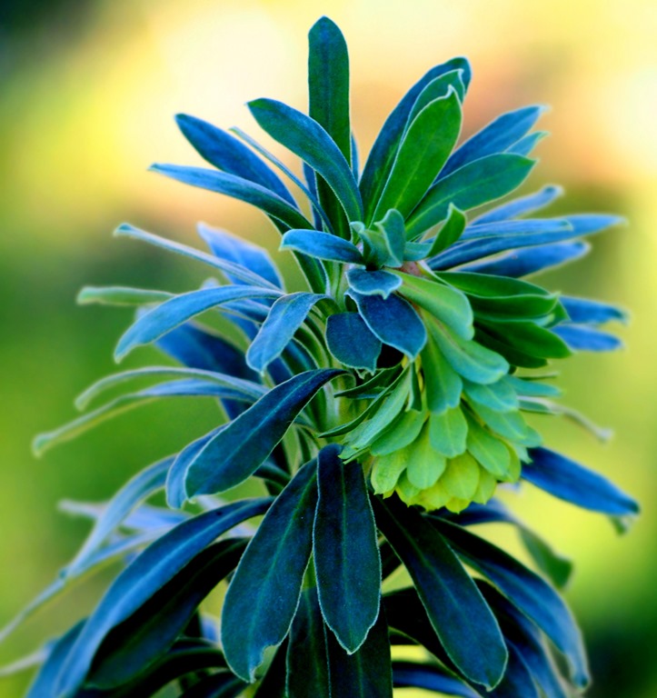 [11%2520Feb%25204%255B3%255D.jpg]