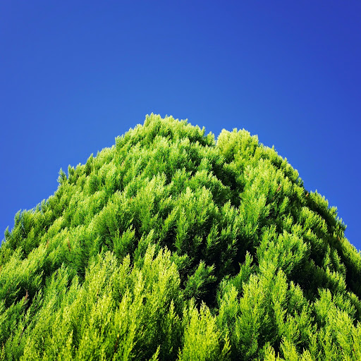 20140914080237.jpg