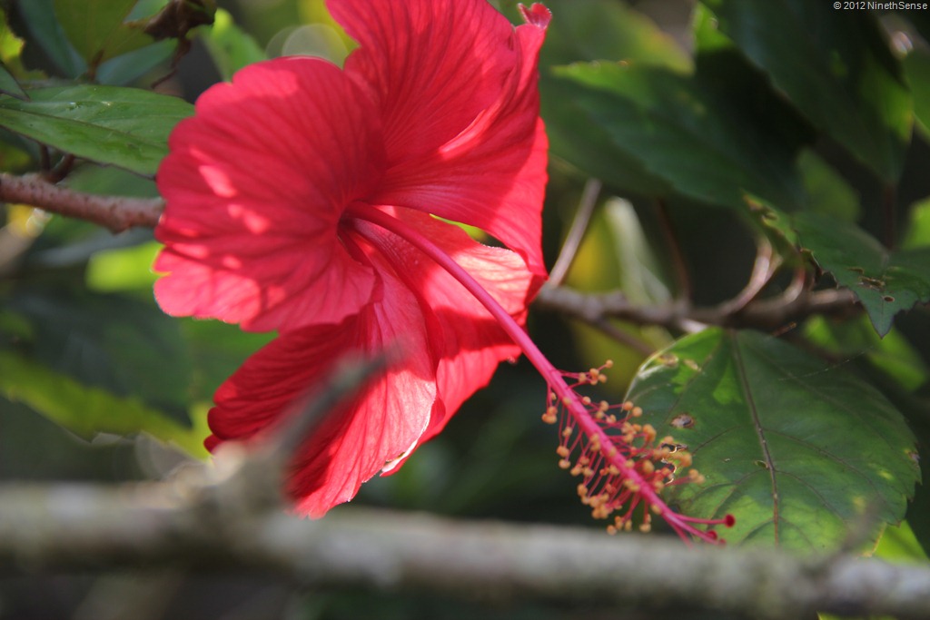 [IMG_1765%255B9%255D.jpg]