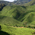 Cameron Highlands, MY