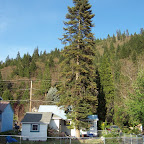 100_0742.JPG