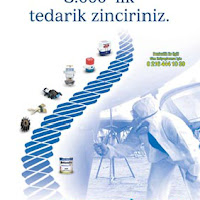 kaya oral8.jpg