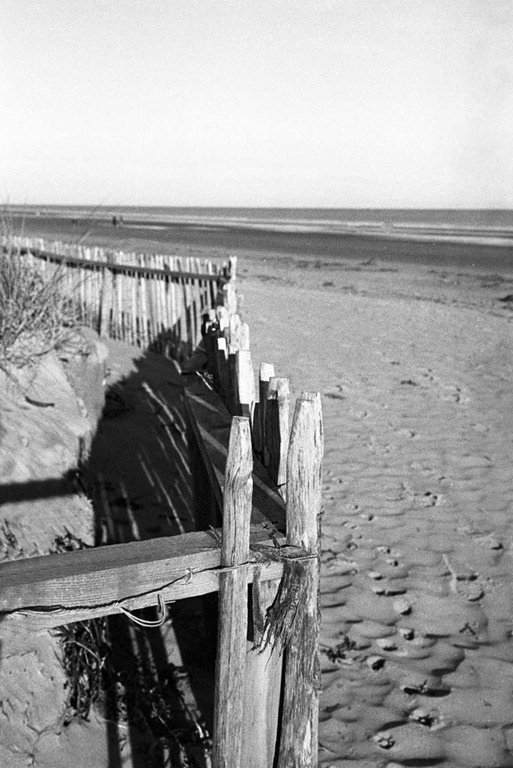[Sand-Dune-Fencing-8%255B6%255D.jpg]