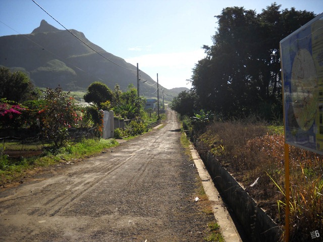 DSCN2350_2 DSCN2350_2