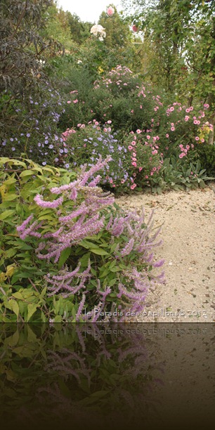 IMG_3118 IMG_3118