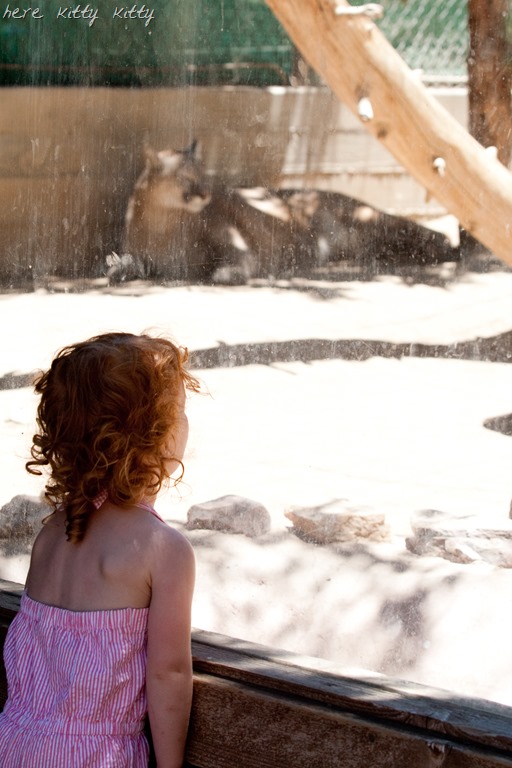 [20130625-IMG_266911.jpg]