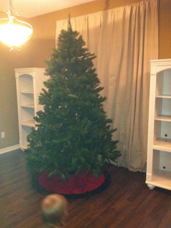 [tree%255B3%255D.jpg]