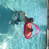 Stella Swims