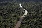 The Xingu River, where the Belo Monte dam is being built, is one of the largest rivers in the Amazon basin.
Photograph: Karla Gachet/Greenpeace