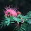 TW_TRIP_0182.JPG