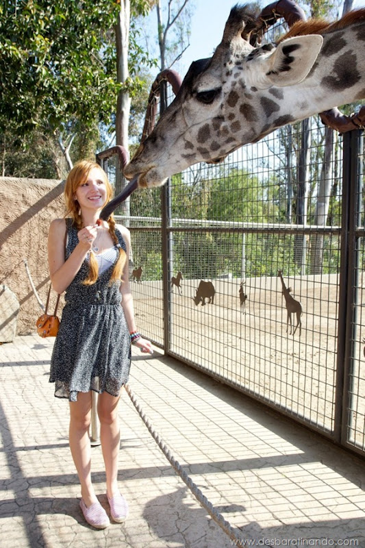 bella-thorne-sexta-proibida-sensual-sexy-sedutora-novinha-desbaratinando (38) bella-thorne-sexta-proibida-sensual-sexy-sedutora-novinha-desbaratinando (38)