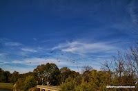 IMG_5072.JPG