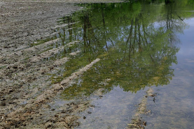 A soggy, rain-soaked cornfield sits unplanted in Farmingdale, Illinois, 13 May 2013, after weeks of constant rain kept central Illinois farmers from seeding their ground. After a drought, now rain is the problem, and the soggy fields means Midwest farmers have little time to decide what to plant this year. Photo: Seth Perlman / AP