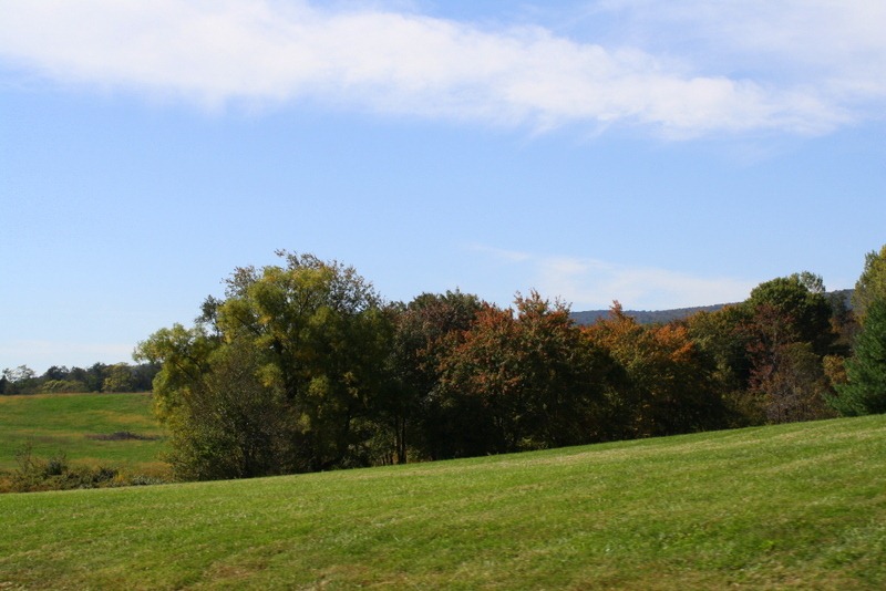 [Virginia%2520Trip-%2520October%25202011%2520316%255B4%255D.jpg]