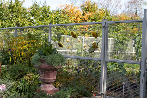 Look Francesca, it seems like the cutting garden fence has been decorated with some sort of ornaments. Look Francesca, it seems like the cutting garden fence has been decorated with some sort of ornaments.