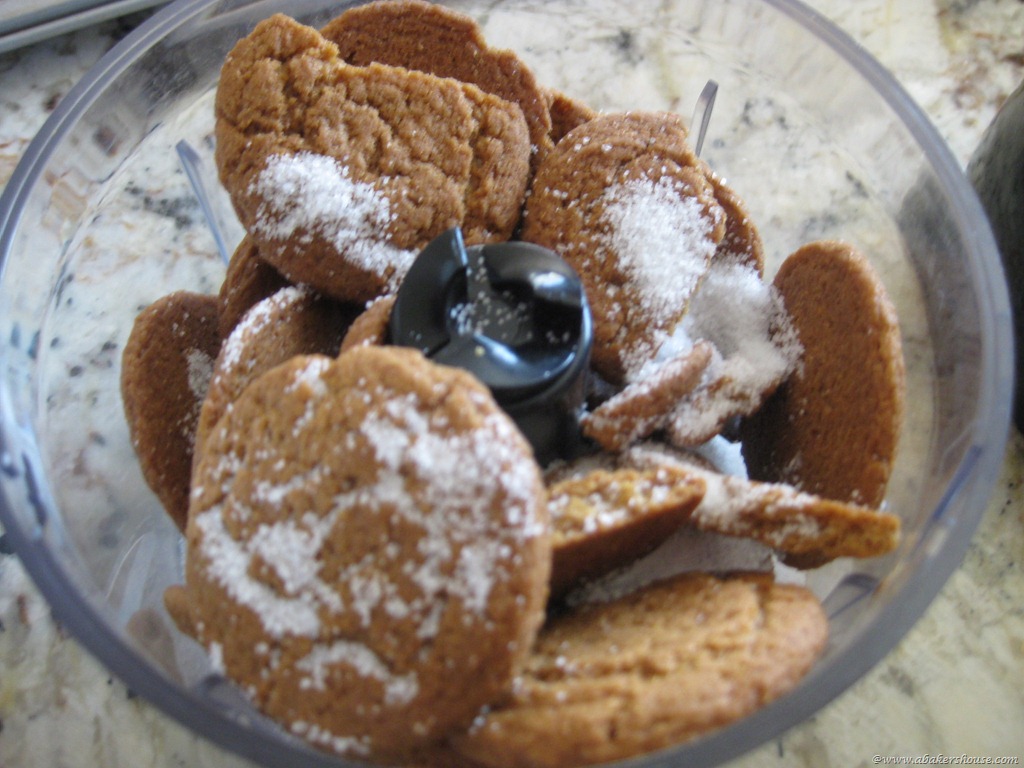 [gingersnaps%2520processor%255B7%255D.jpg]