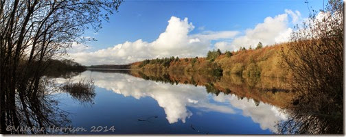 1 Whitefield-Loch-panorama-1